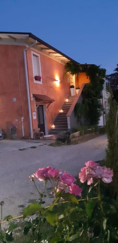 il glicine
