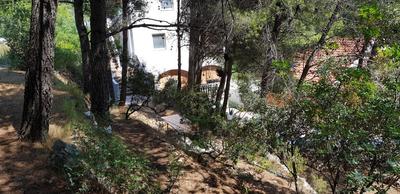 Vila Una