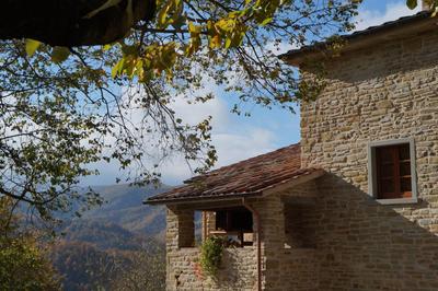 Frigino Agriturismo