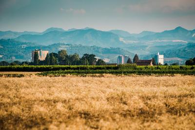 Podere Zampiera Vecchia, Foto 2