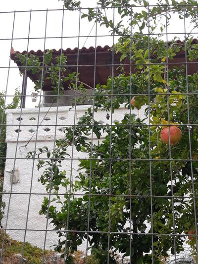 Kerry's Evia Island House