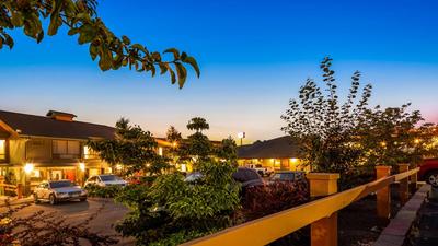 Best Western Plus Tree House