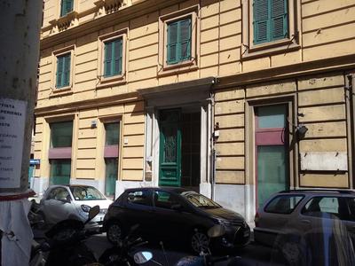 House Domusella