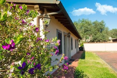 Hotel Quadrifoglio Roma Eur