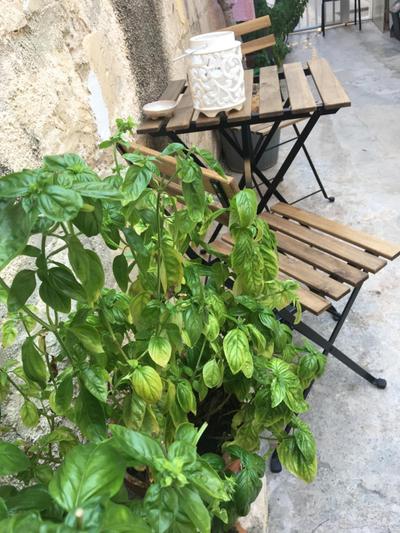 Casa vacanze Cortile Barocco