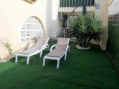 Mare Holiday