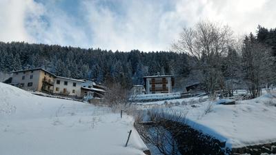 Il Cardo Trentino