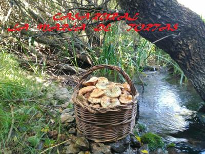 La María de Tortas