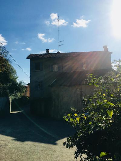 Villa Bacchetta - Forest View