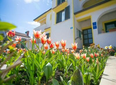 Apartment House Matosevic