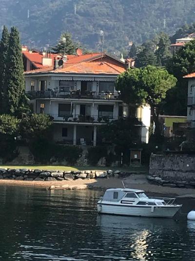 gli oleandri