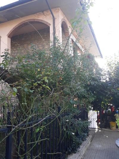 El Giardino delle Rose.....