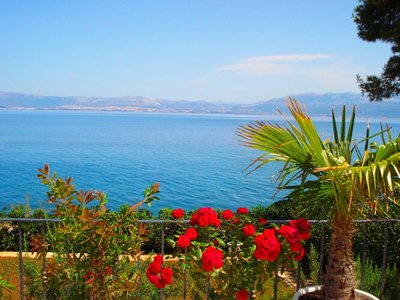Sea Star Apartment