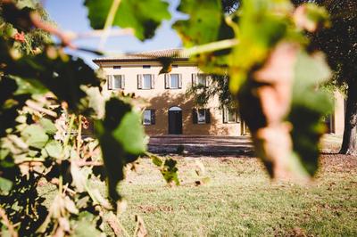 Vita agricola, Foto 2
