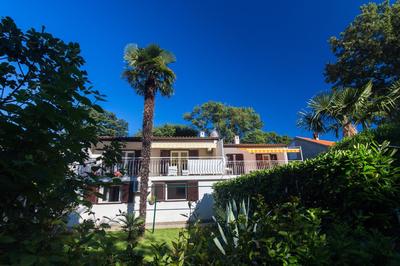 Apartment Carmen by El-Pi Tours