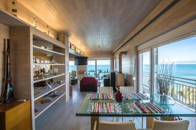 Designer's Apartment