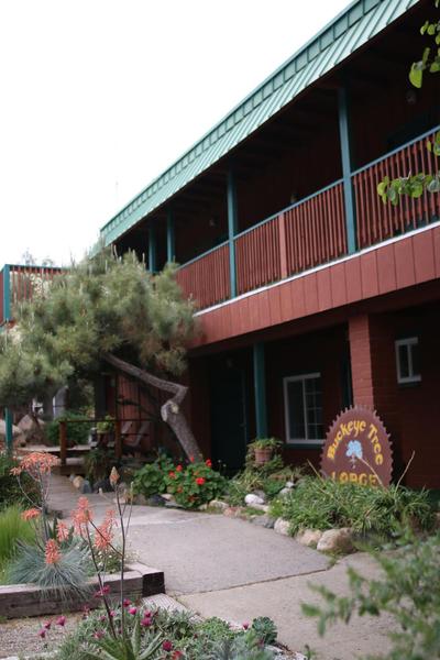 Buckeye Tree Lodge