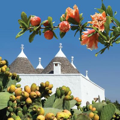Hotel Don Ferrante