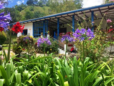 Reserva Guadalajara - Cocora Valley