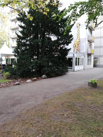 Oase im Park