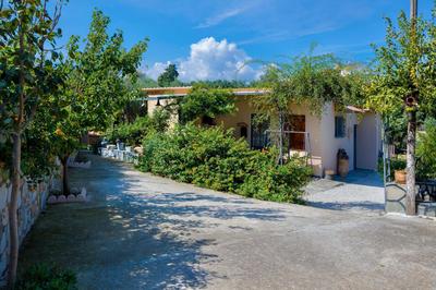 The Olive House