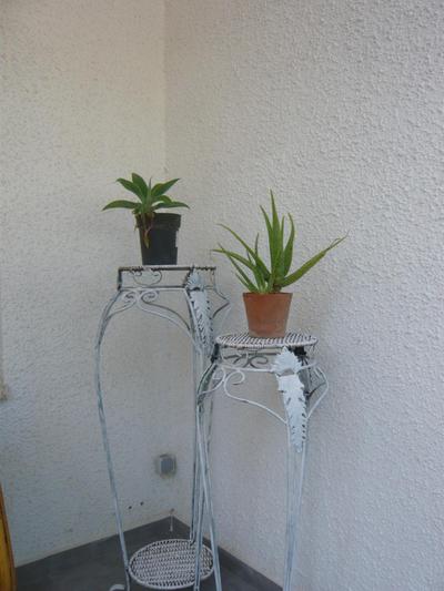 Chalet I con terraza en la playa