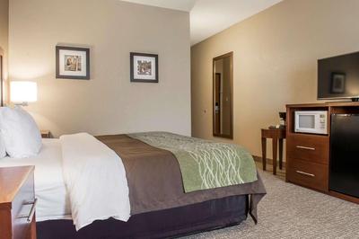 Comfort Inn Edinburg South, Billede 2