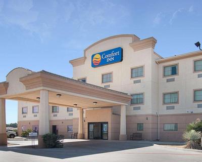 Comfort Inn I-20 Midland Stanton, Billede 2