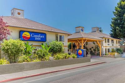 Comfort Inn Santa Cruz North, Foto 2