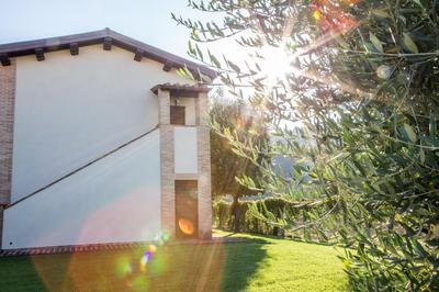 Vocabolo Monache
