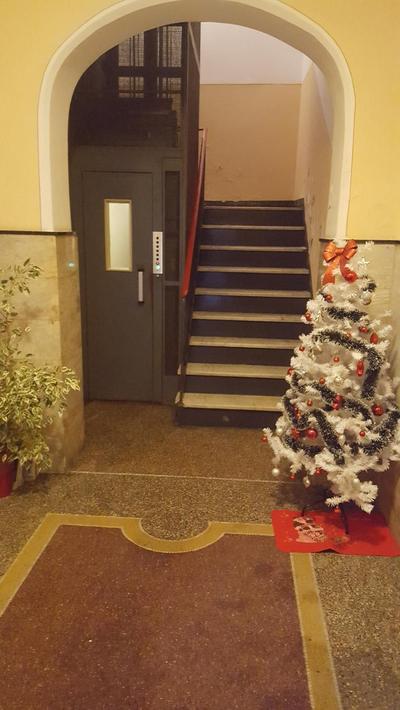B&b Il pesce doro
