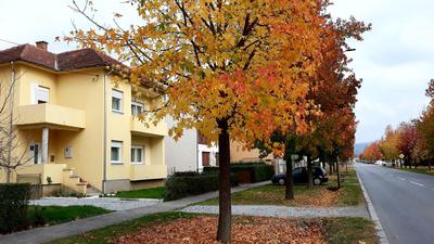 Daruvar City One Apartment