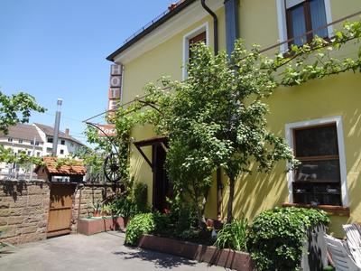 Hotel Rose Heidelberg inklusive Frühstück, Saunanutzung und Parkplätze nach Verfügbarkeit