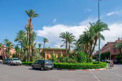 Riad Abdou