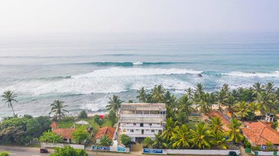 Jayanthi Surf Dreams