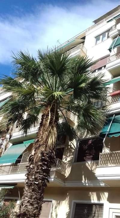 Sylvia' s Apartments