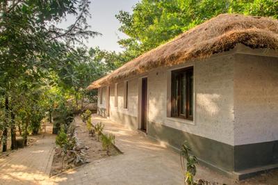 Red Earth - Gokarna