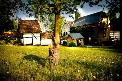 B&B De Bloesem, Foto 2