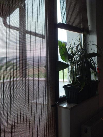 Camere de inchiriat Onelia