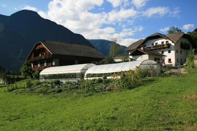 Bio Felderhof