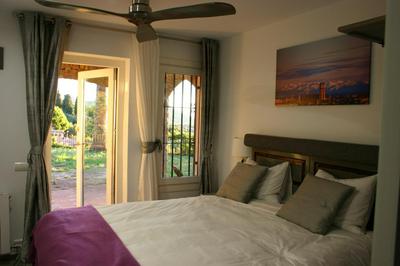 B&B Premium