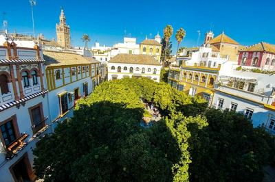 Plaza Elvira Atico- Penthouse Next to Cathedral