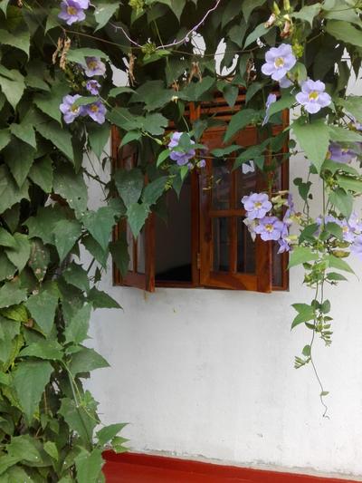 Ananda Home Stay and Restaurant