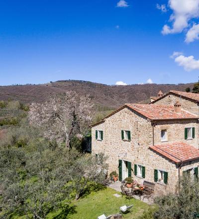 La Noce