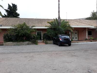L'Albero
