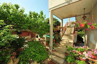 Apartment Patricia