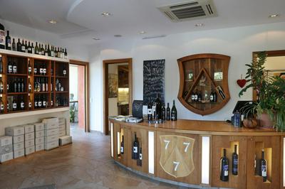 Weingut Dreisiebner Stammhaus