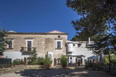 MASSERIA CITULO Il Pino grande