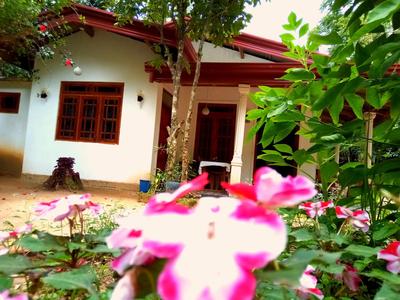 Ella Jungle Inn Homestay And Tree House