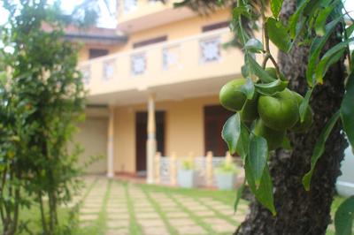 Villa184
